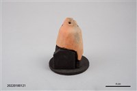 藏品(鳥首狀器)的圖片